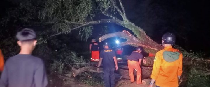 Penyebab dan Dampak Bencana Alam – Faktor Alami dan Aktivitas Manusia