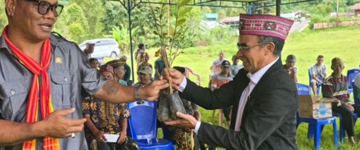 Warga Bersama DPRD Manggarai Timur Menanam 15.000